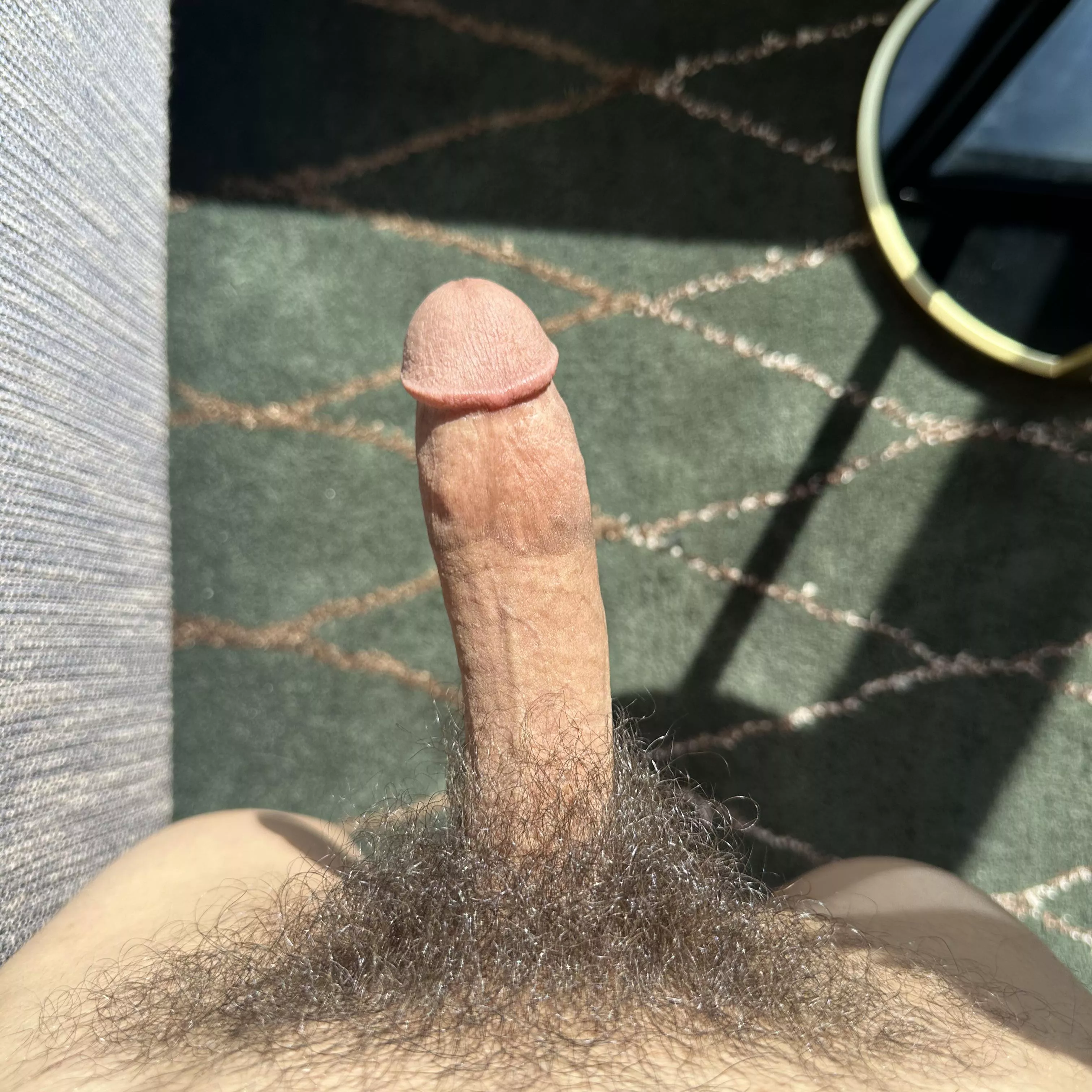 Cut cock in the sun posted by Old_Sheepherder9127