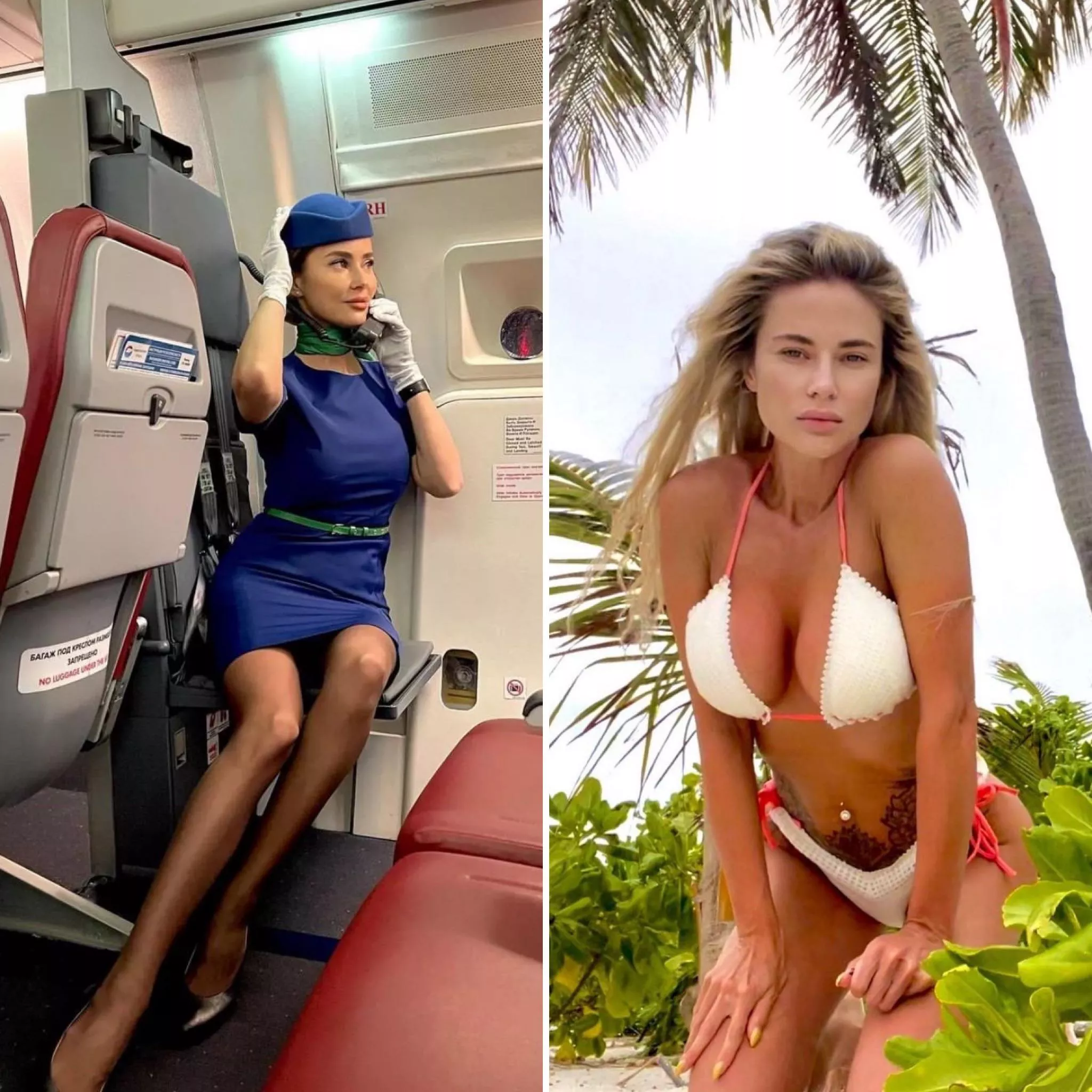 Flying fox posted by IkarusAndTheSun