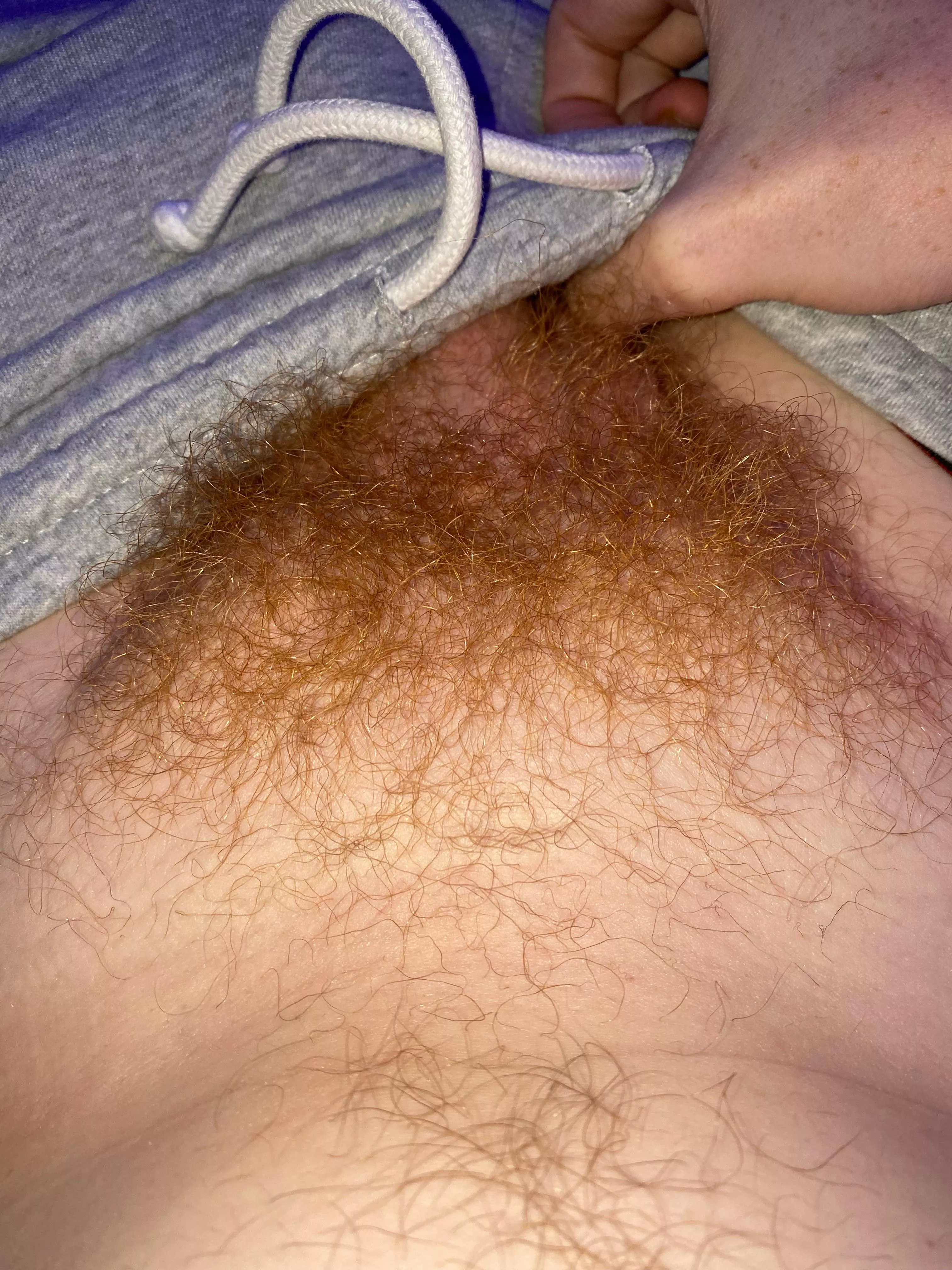 Ginger pubes, how they lookin? posted by tytan10