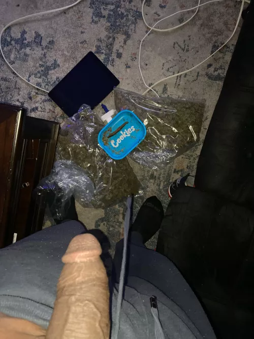 I dropped (M)y cookies by Solid_Candidate8357