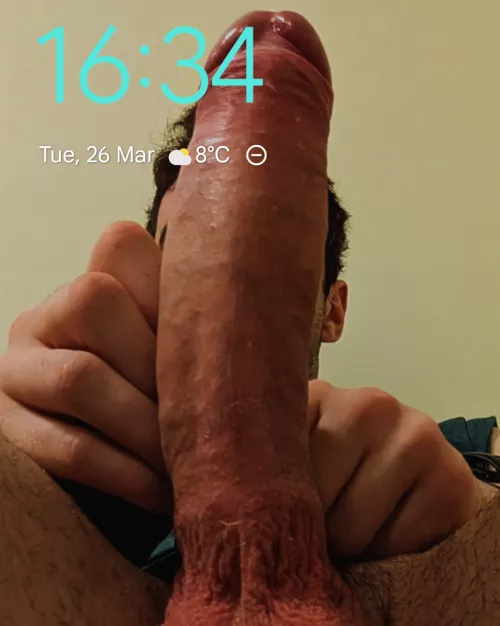 I love showing of my big cock especially when on busy public transport. You should see the stares I get hehe. by Fun-Sugar954