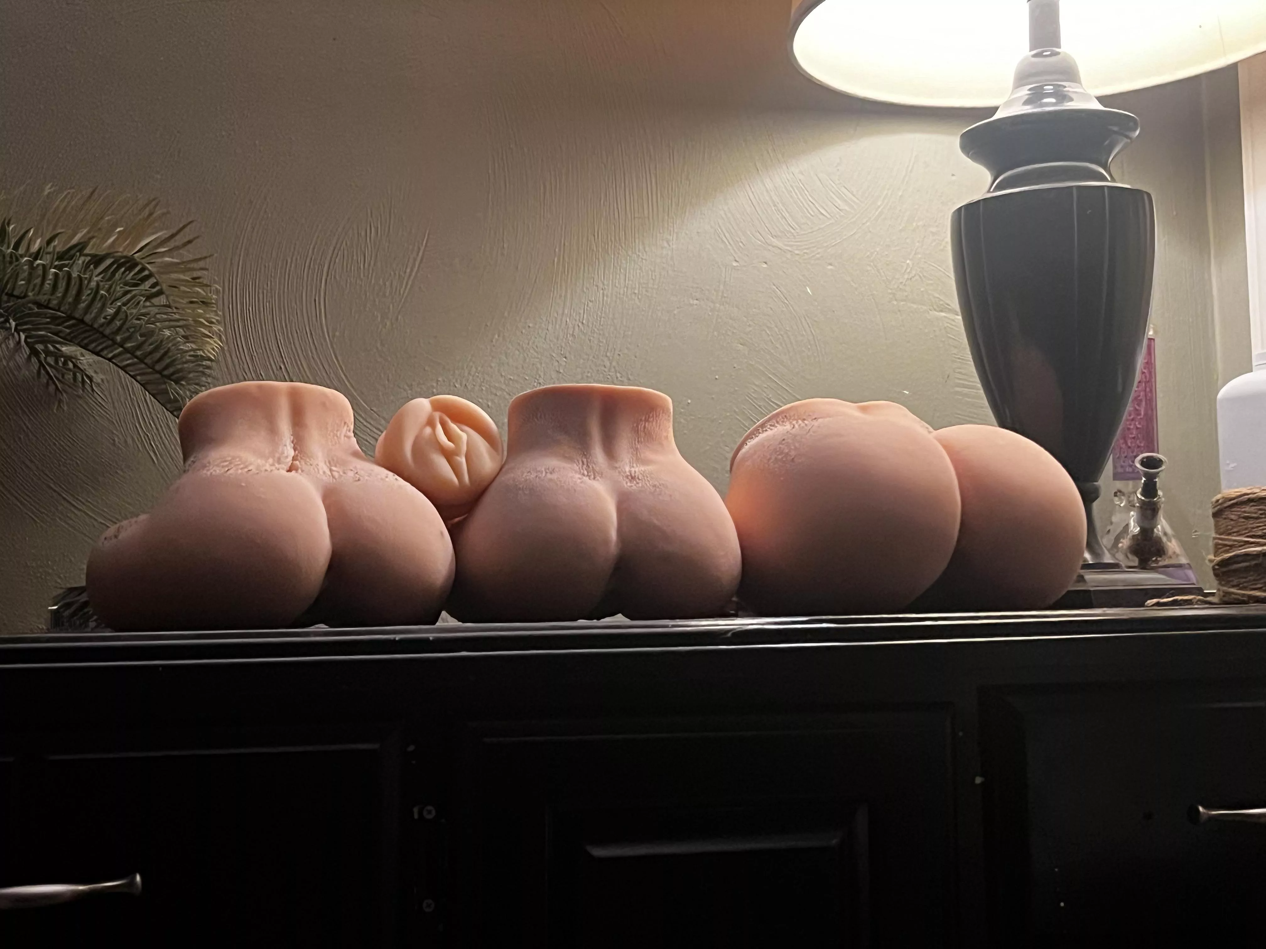 My girls posted by OverCattle1144