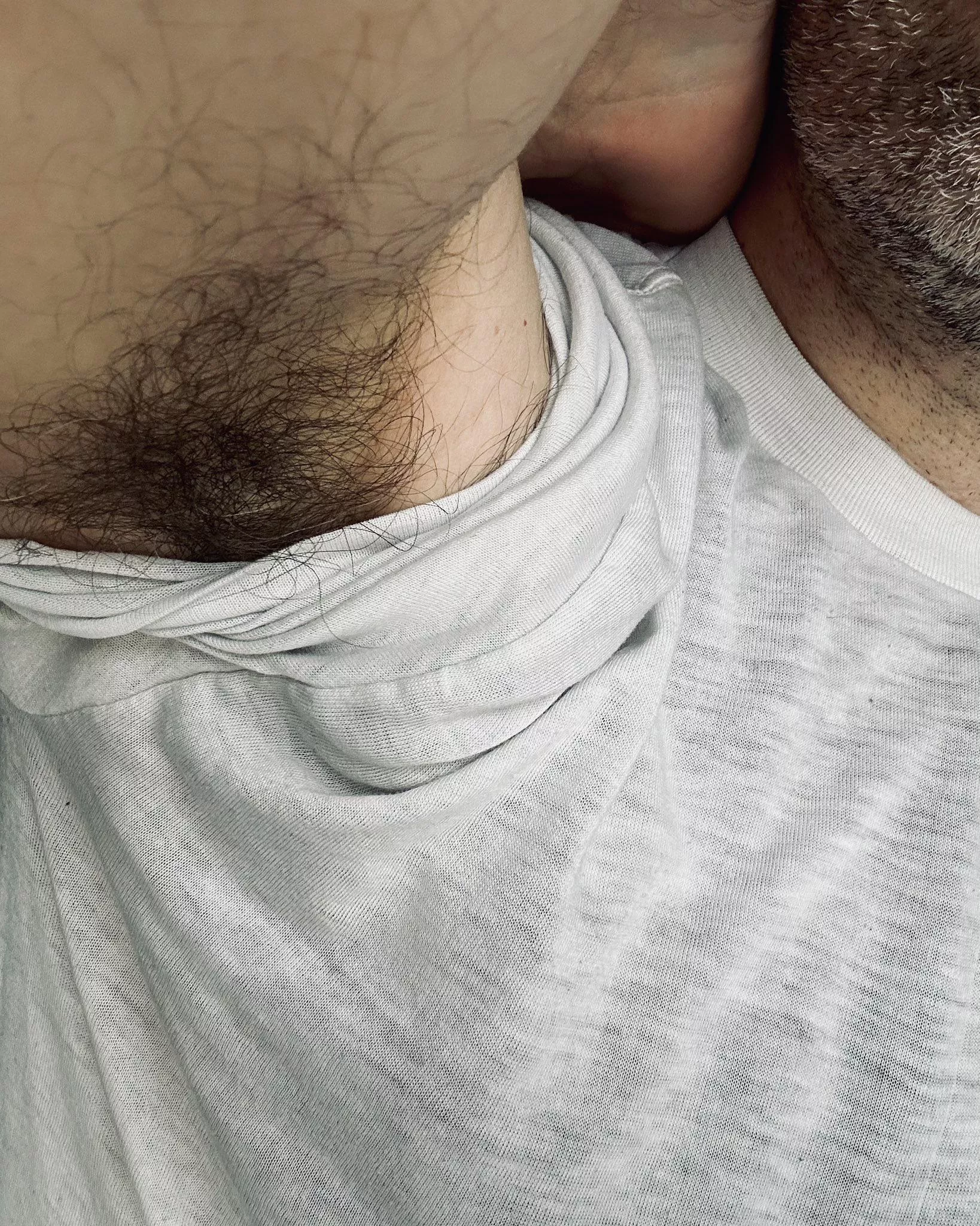 My hairy pits peeking out of my t-shirt is catnip to gay guys. I don't make the rules. posted by jerseyjaxoff