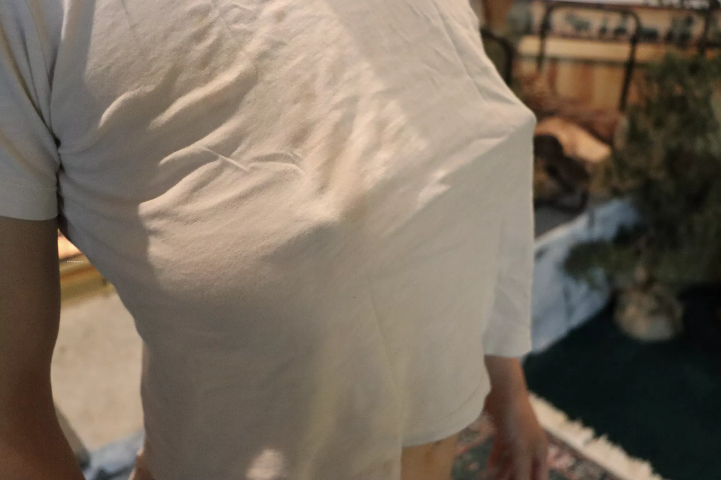 Ready for a cozy evening in the cabin posted by thecaringdoc