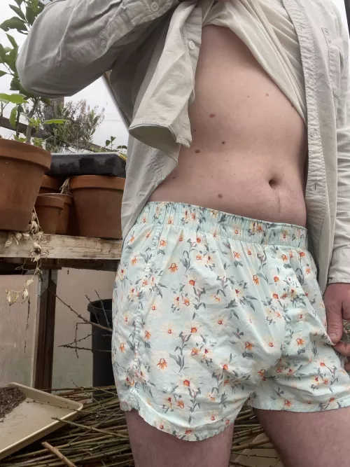 spring’s about to get sprung by warrenconflict