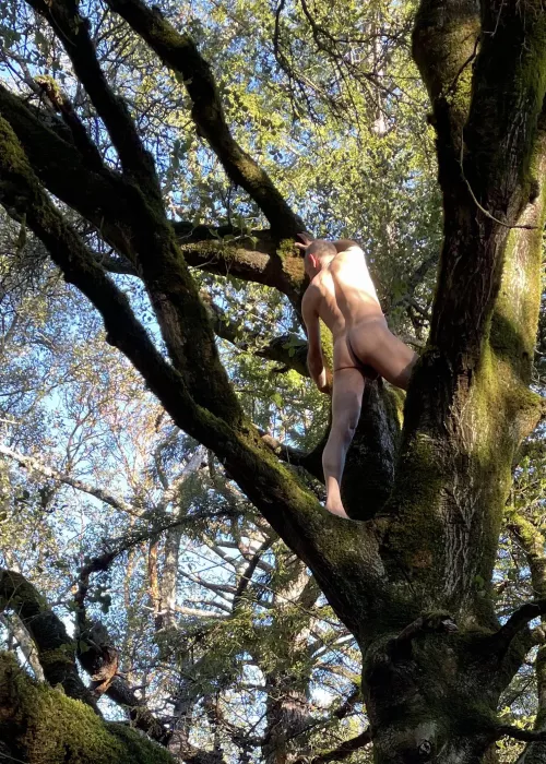 🌳Tree Pose Tuesday🌳 by beachandforestfun