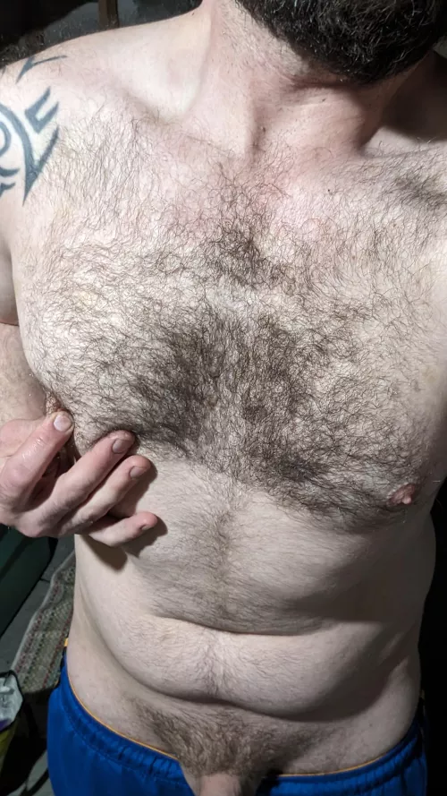 Tuesday edition  by whatarewedoinghere42