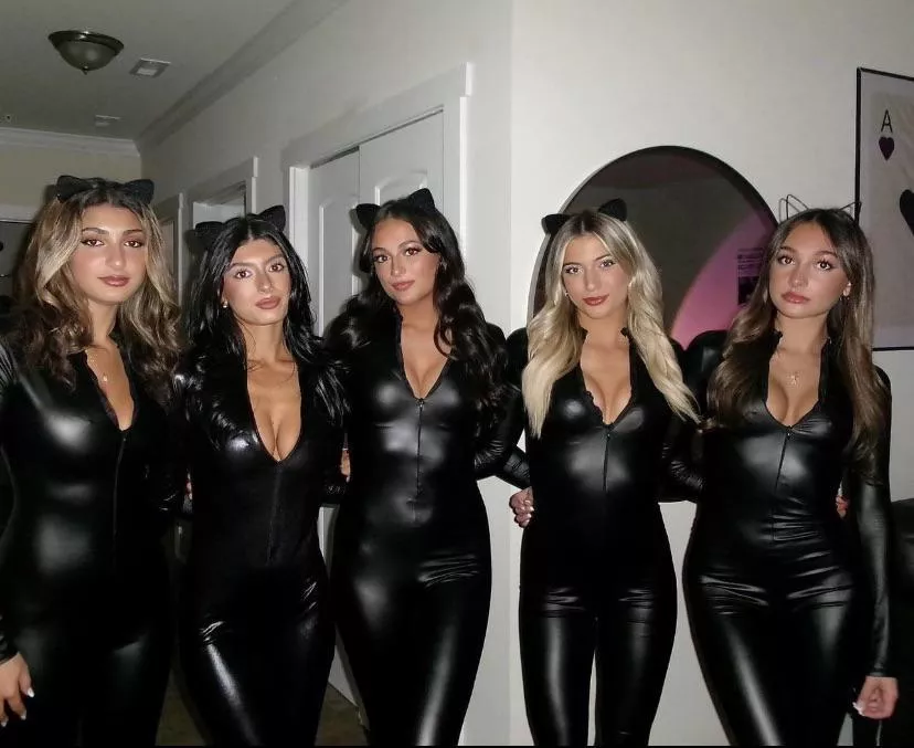 Which cat woman is yours? posted by TheLatexKing