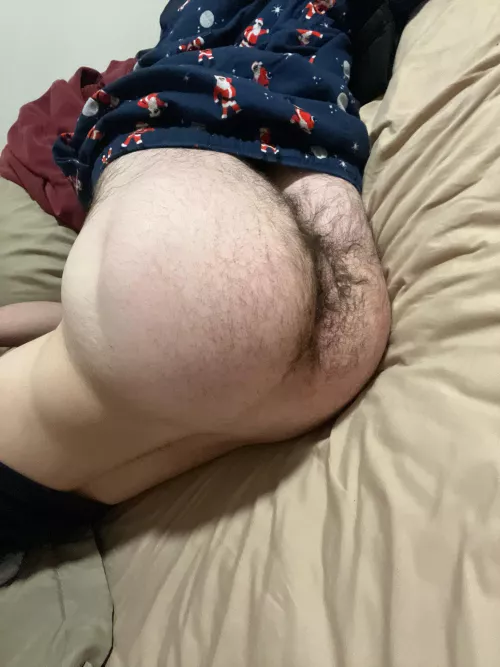 18 M looking to get pounded by Tall_Comparison8091