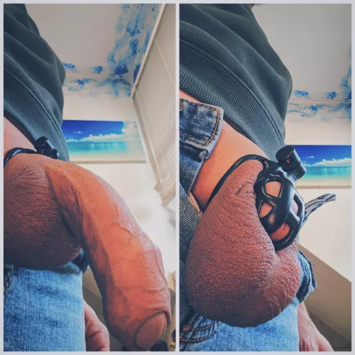 Big Cock in small Cage is possible by ShySissyMasha