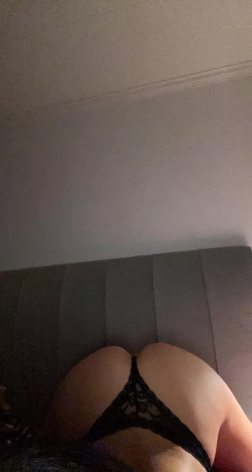 Doggy? by SheepherderProud2447