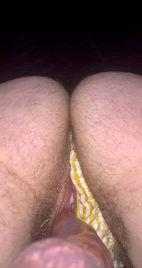 Hello  by Practical_Bird4164