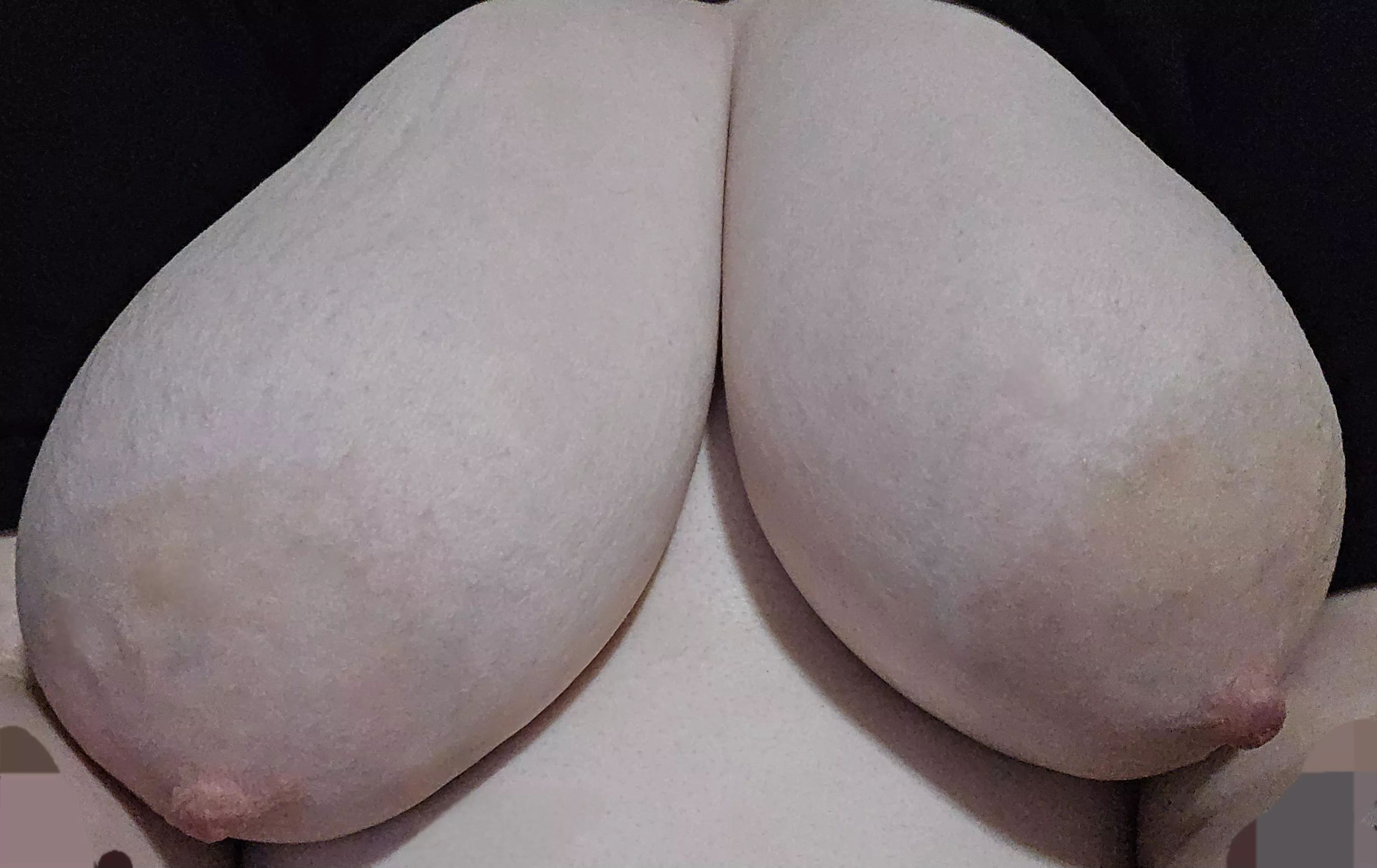 I hope my tits swell when you breed me. 🖤 posted by bigdickqueen27