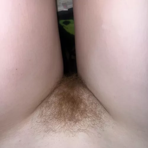 I’ve been growing out my red pussy hair  by Faairyfeet