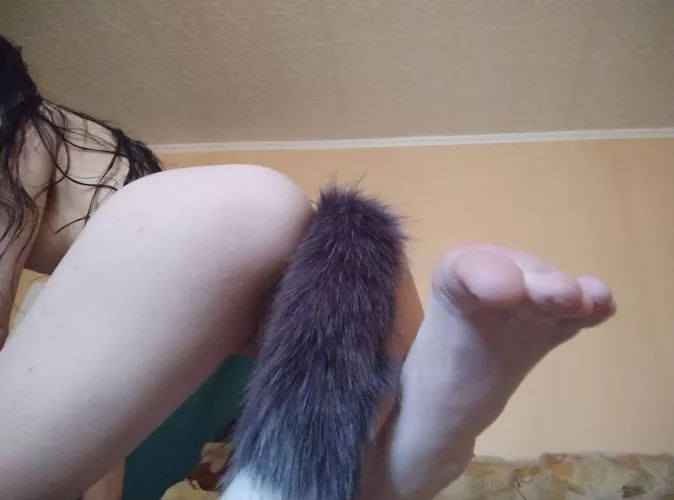 just don't pull my tail, please... by Spiritual_Outside534