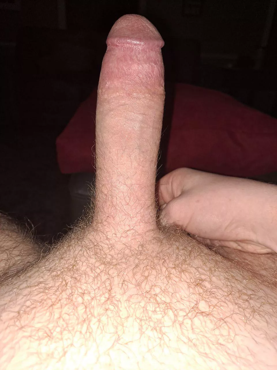 Looking for some long-term subs to be only mine, Dms open~ posted by Ok-Enthusiasm9139