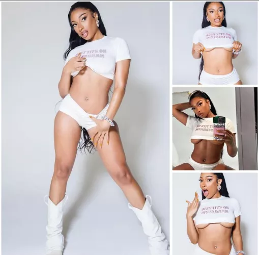 Megan thee stallion by InternationalAd7925