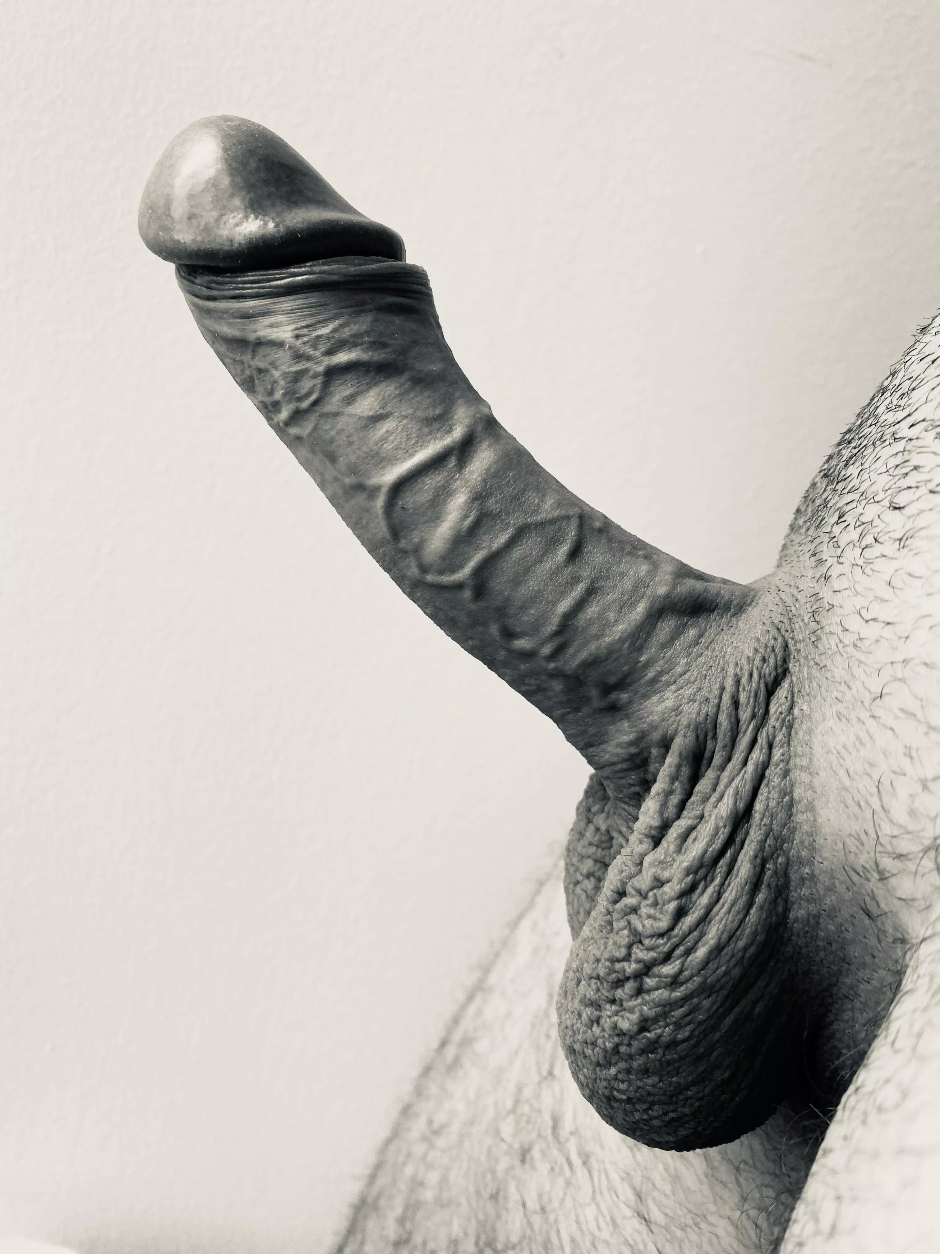 Morning mood posted by hamsert1