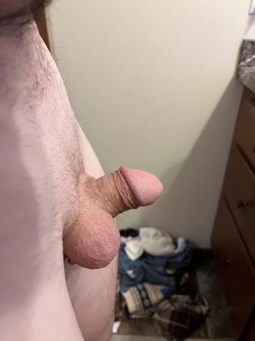 My boyfriends dick. Opinions? by beachlover3022