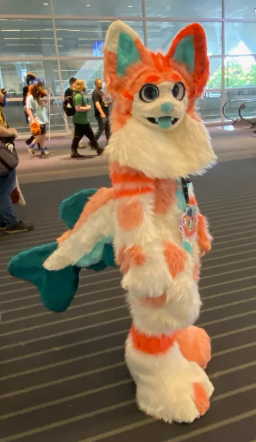 Never posted pics from my first con!!! by AstroCat314