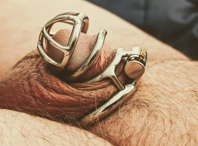 New cage 🥰 by obstes