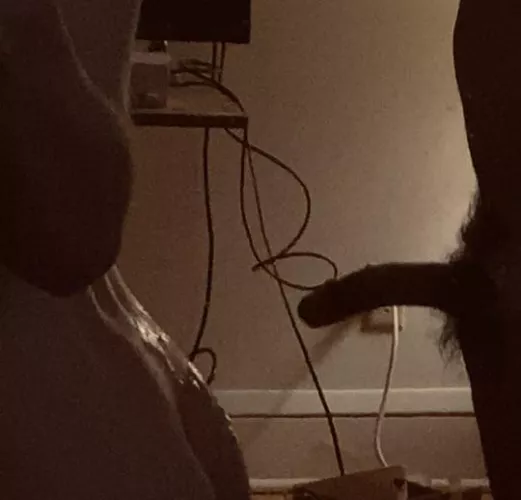 Selfie by sorteddice