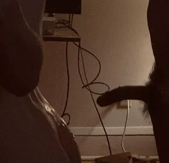 Selfie posted by sorteddice