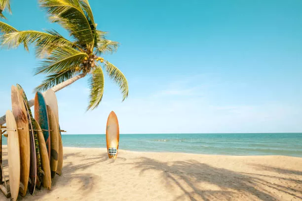 Surfboard And Palm Tree On Beach In Summer posted by Sarahhany12