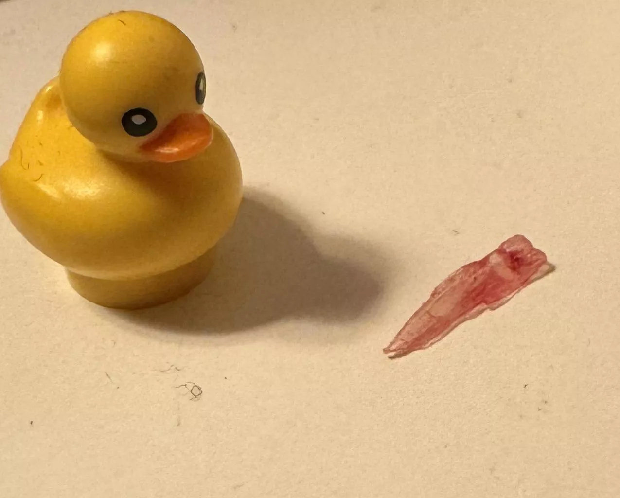 This gnarly hangnail I managed to pull out (Lego duck for reference) posted by spencers_sensor