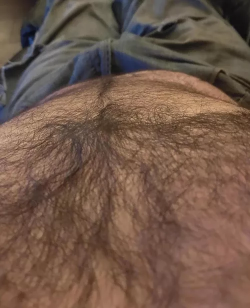 Time to chill.... by HairyDiplodocus