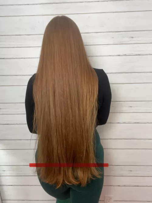 Well it’s finally time for a hair cut, only 2-3 inches but I’m excited for it to be healthier by RubyredRapunzel