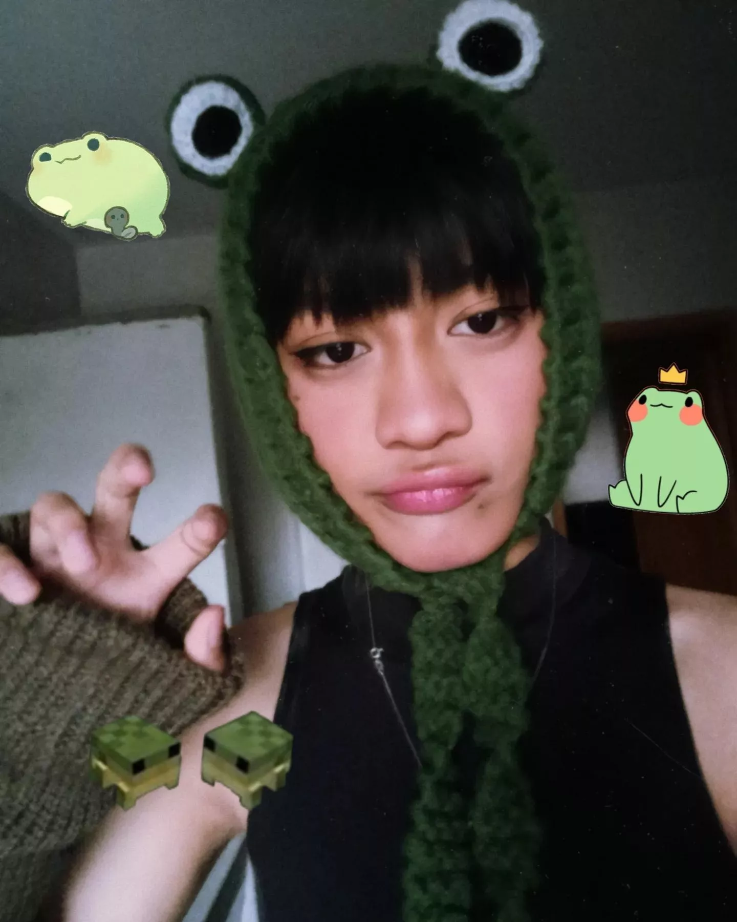 what could my favorite animal be? posted by akaurnalangsana