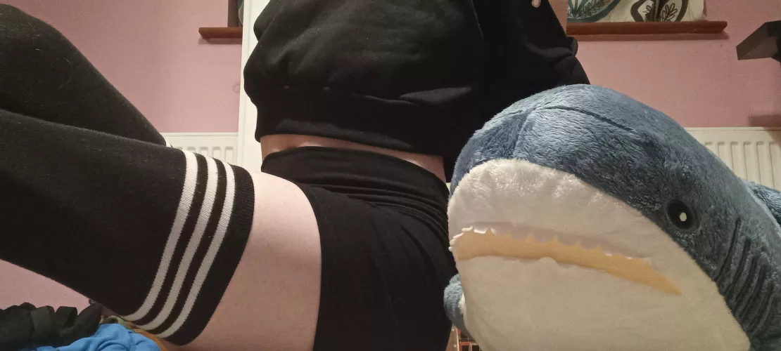 What should I call my shark? (First pic) by Federal-Gamer