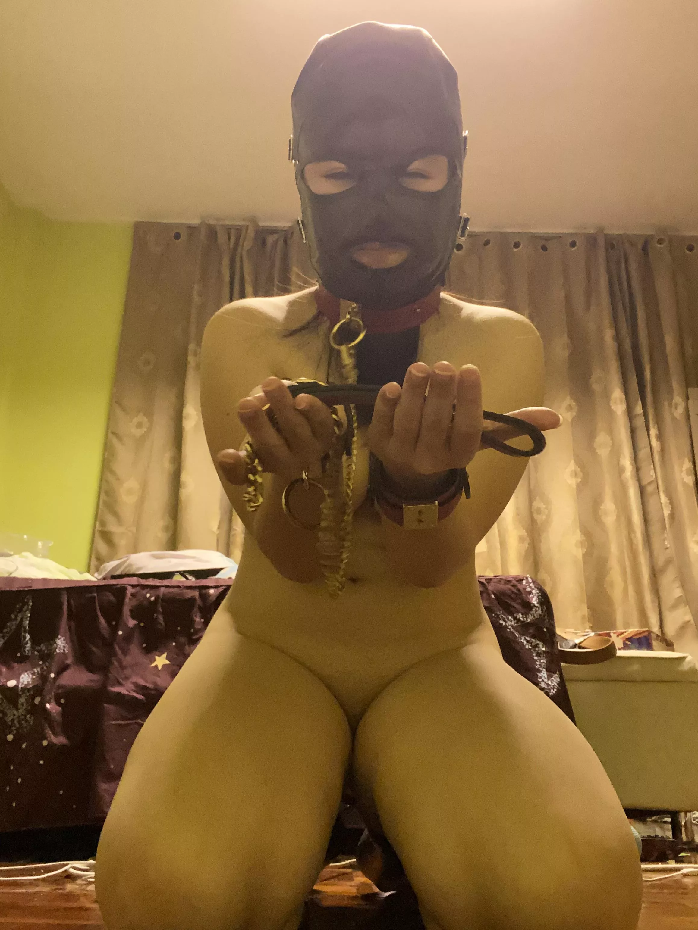 Begging for masters attention [f] posted by superpotatohero