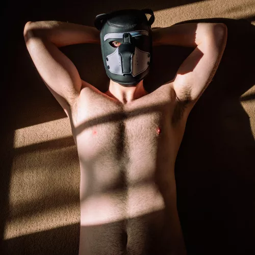 Do I look like a good boy? by Achilles-C