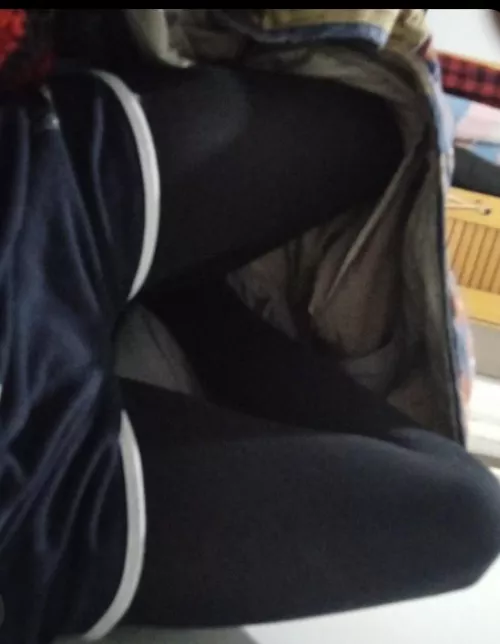 Fealing cute in shorts by Lapis_FT