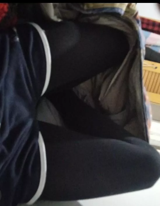 Fealing cute in shorts posted by Lapis_FT