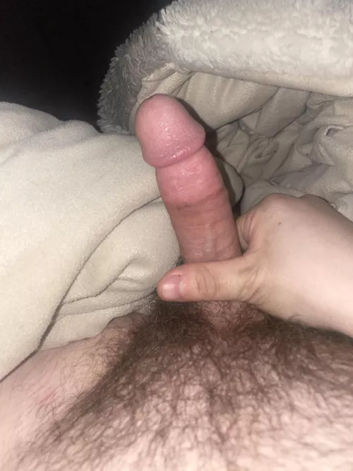 Good boy needs help  by Savings_Draw_659