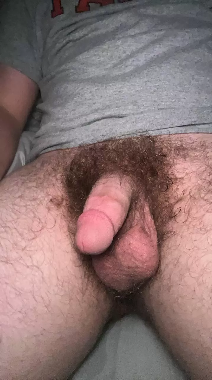 How are my pubes for a freshly 18-year-old?? (My DMs are open btw) posted by uaeboak