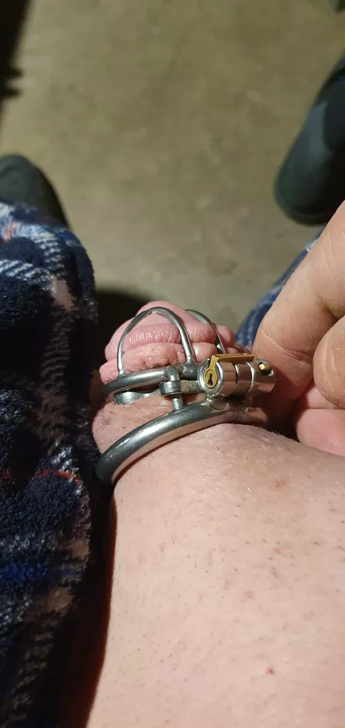 I'm not sure if it's noticeable but my wife put an anti pull out clamp on me. by shitsandgigssss