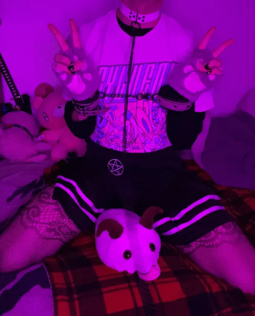 Locked up for what crime? I do no wrong, im just a Cat Meow 🐈 by Scoutzi