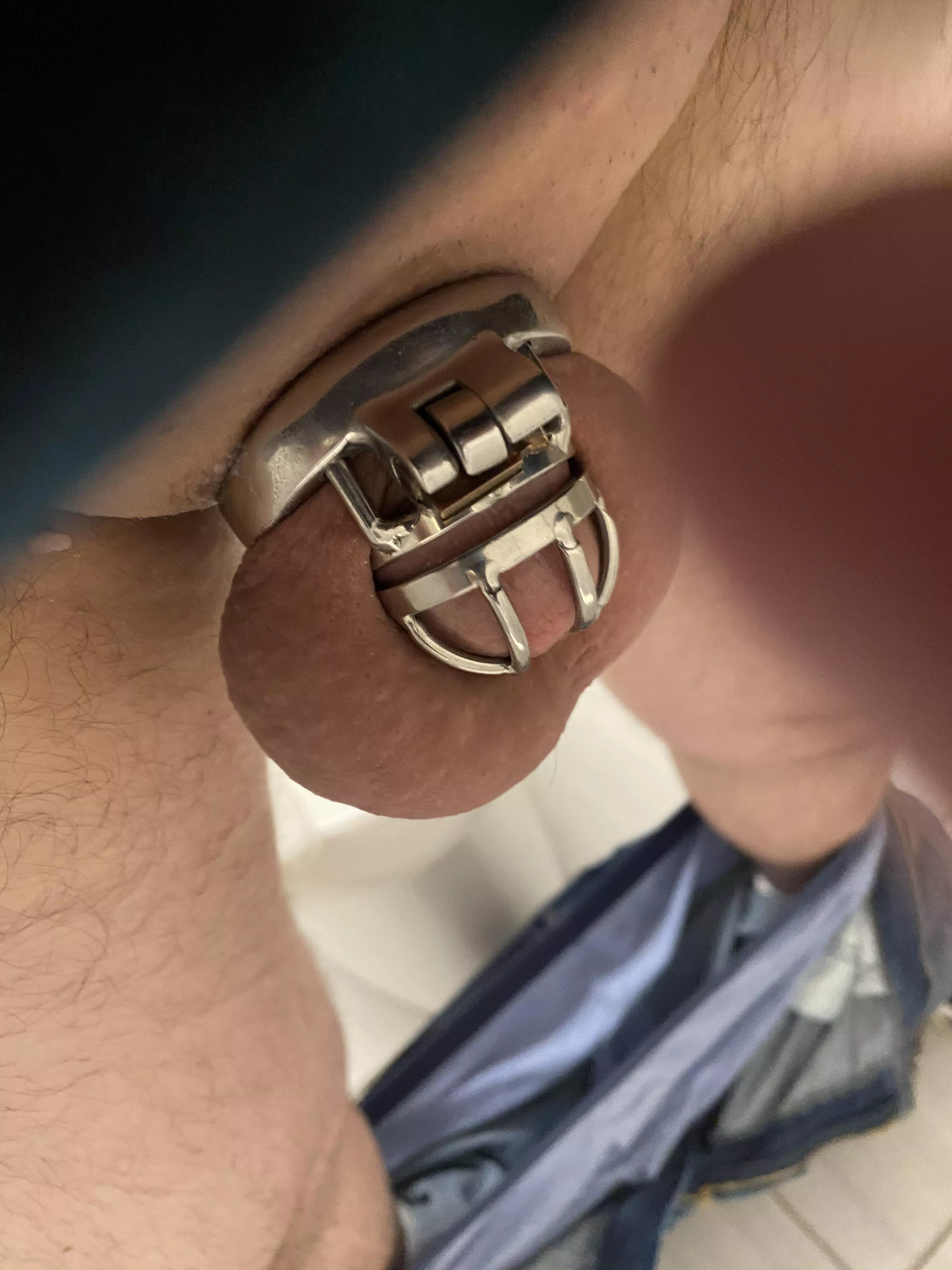 Made it to day 7 posted by chastitysub1976