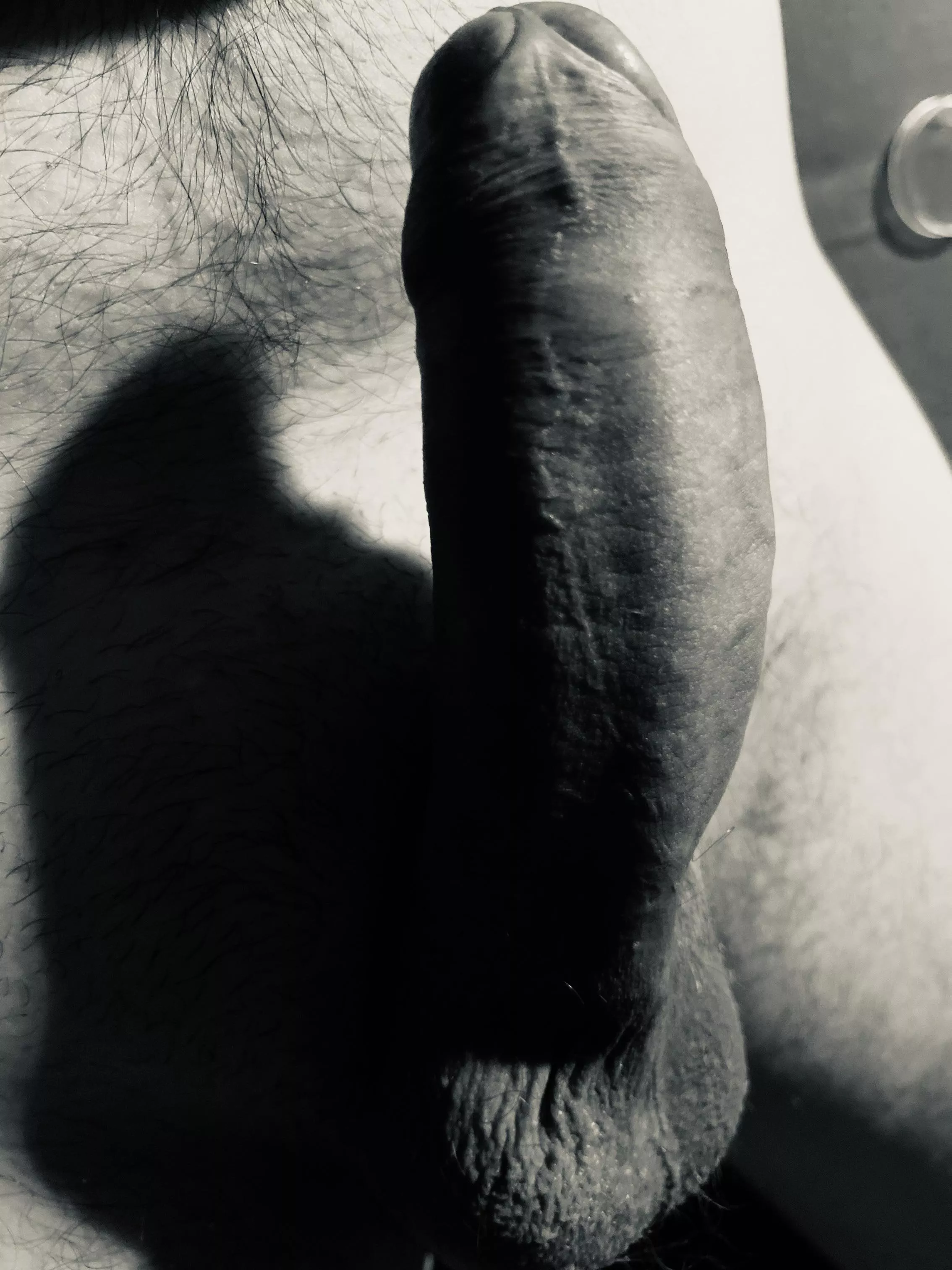 Need a sit? posted by EastWestIT