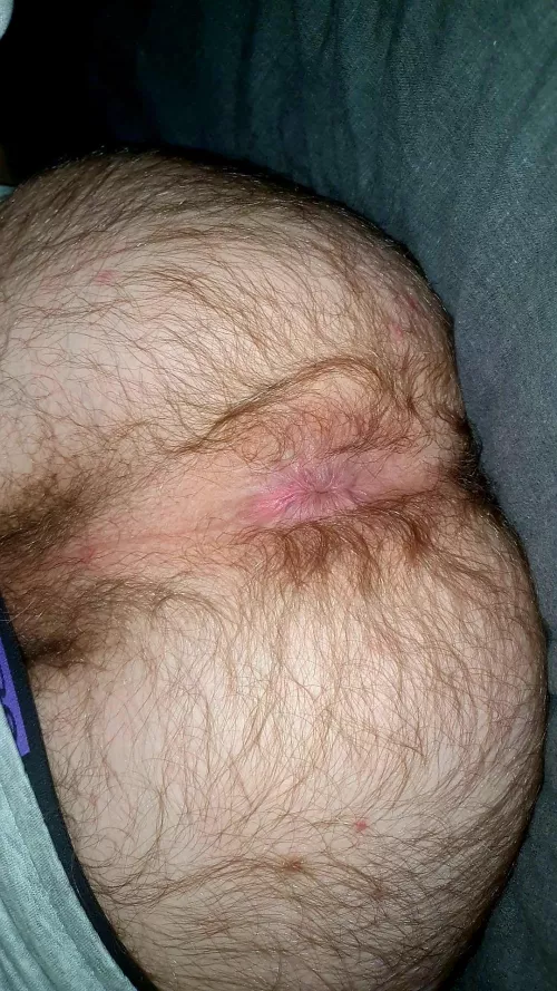 Need someone to breed my pink hairy hole by Separate_Fly6315