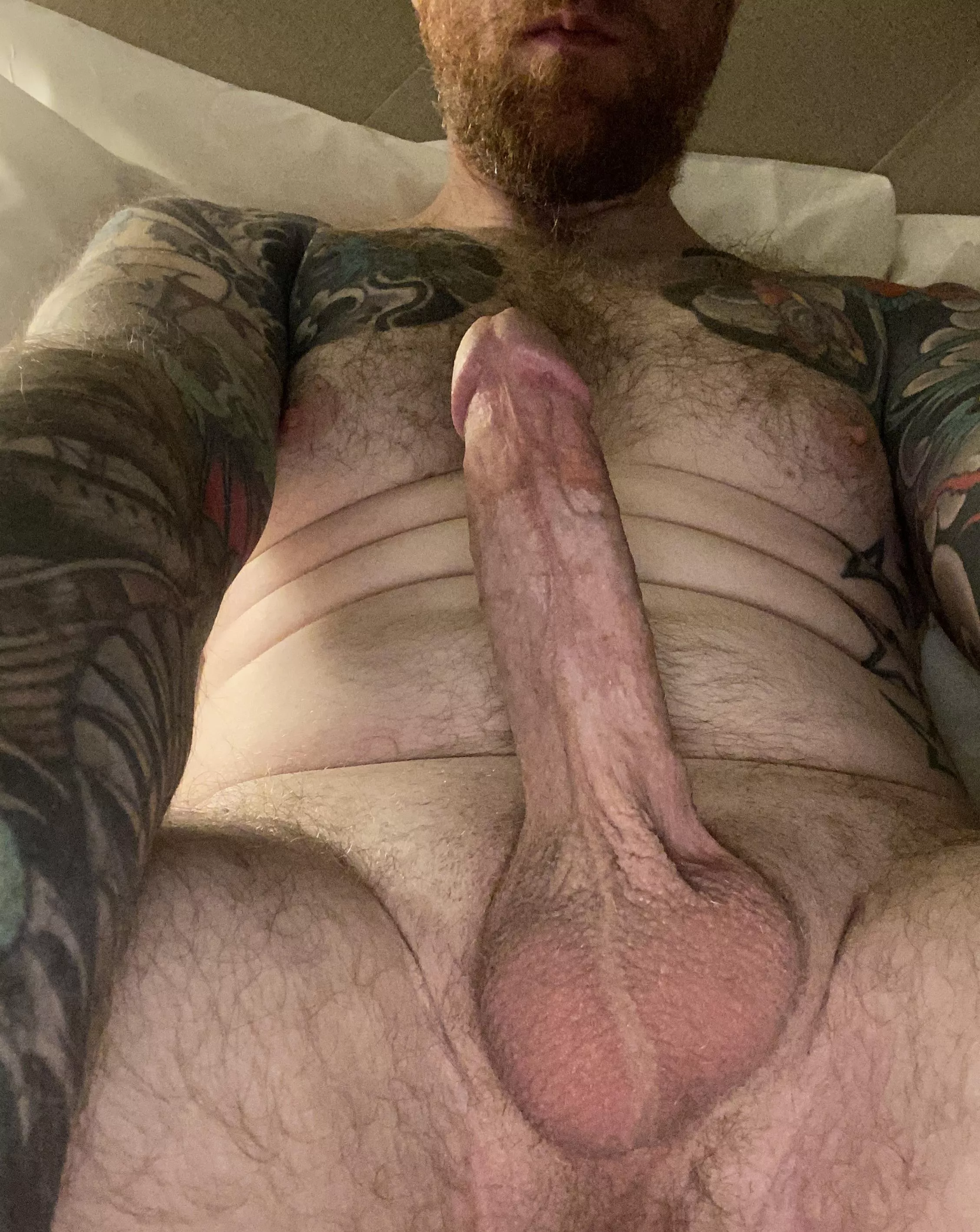 Who’s into slightly hairy gingers? posted by permissionfromchaos1