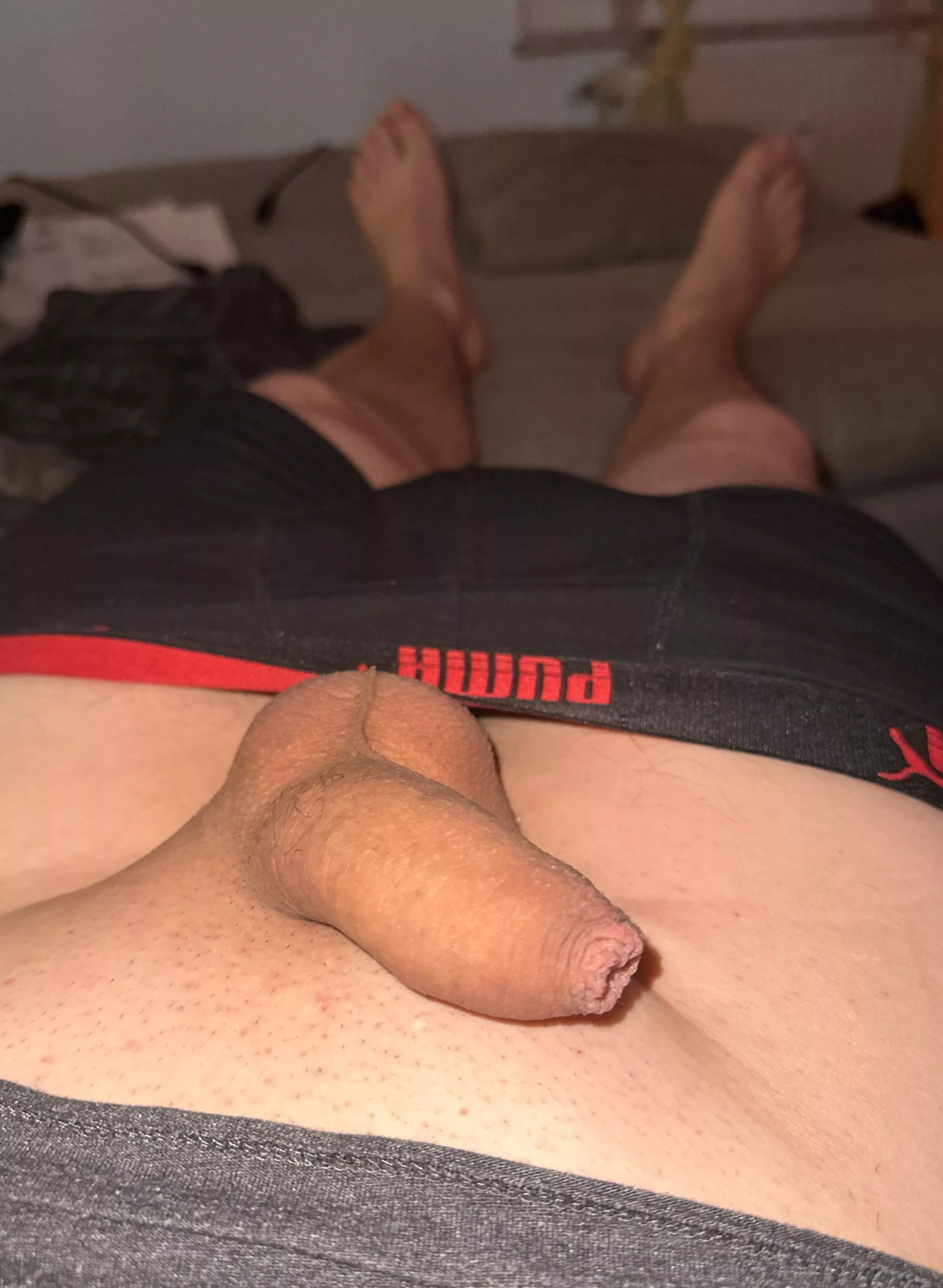 Can you rate my soft cock? posted by Renordic