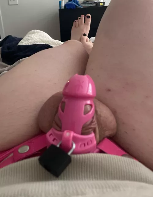 Changed out my cage for a vice; does this cage look too big? by Charming-Ad8301