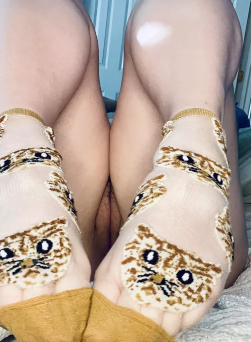 [f] hello, kitty. by oopsie-daisie91