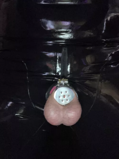 Flat cage in latex by sofialeia