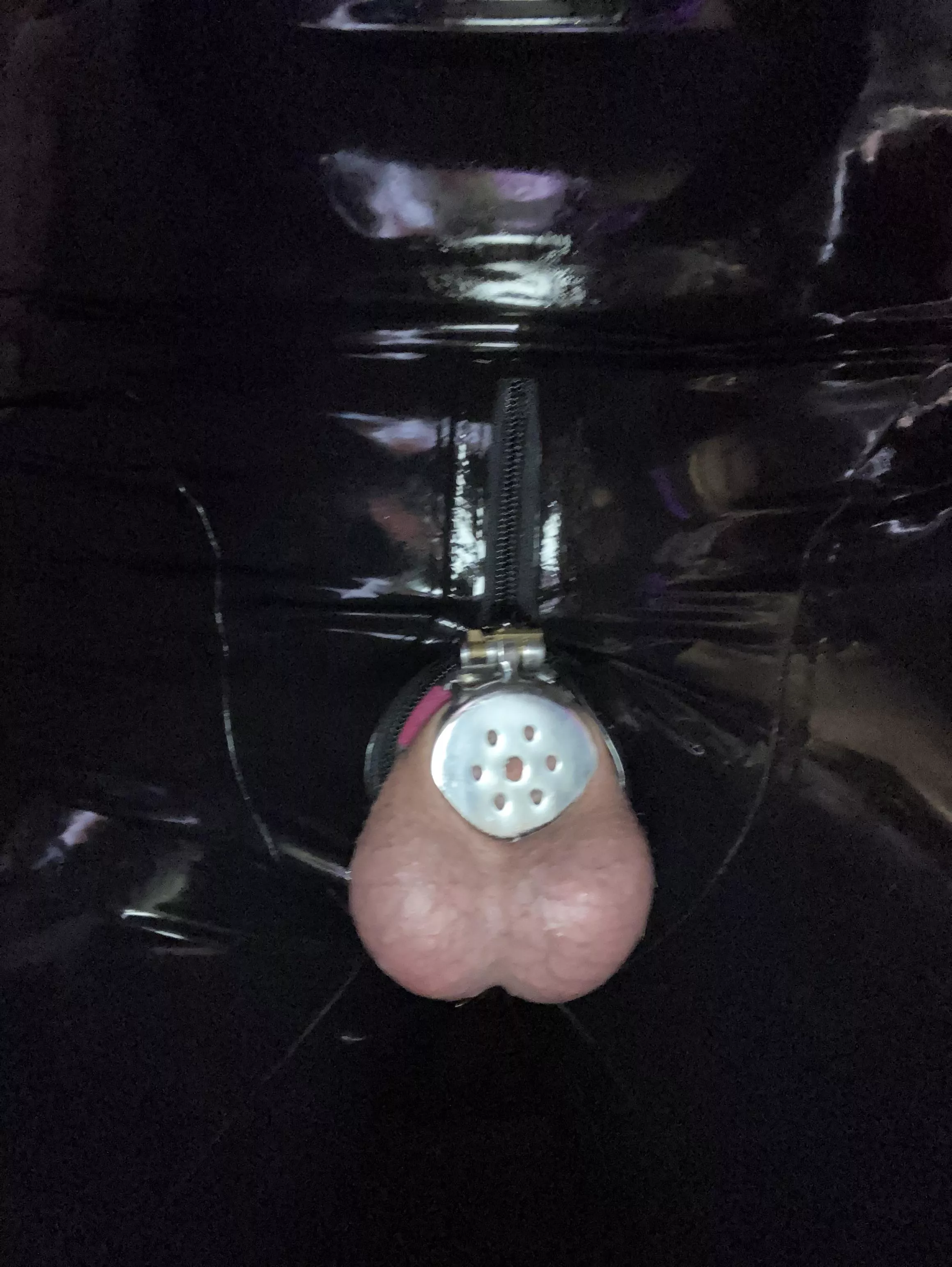 Flat cage in latex posted by sofialeia